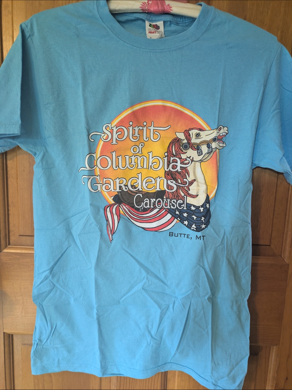 Fruit of the Loom Light Blue Carousel Graphic Tee